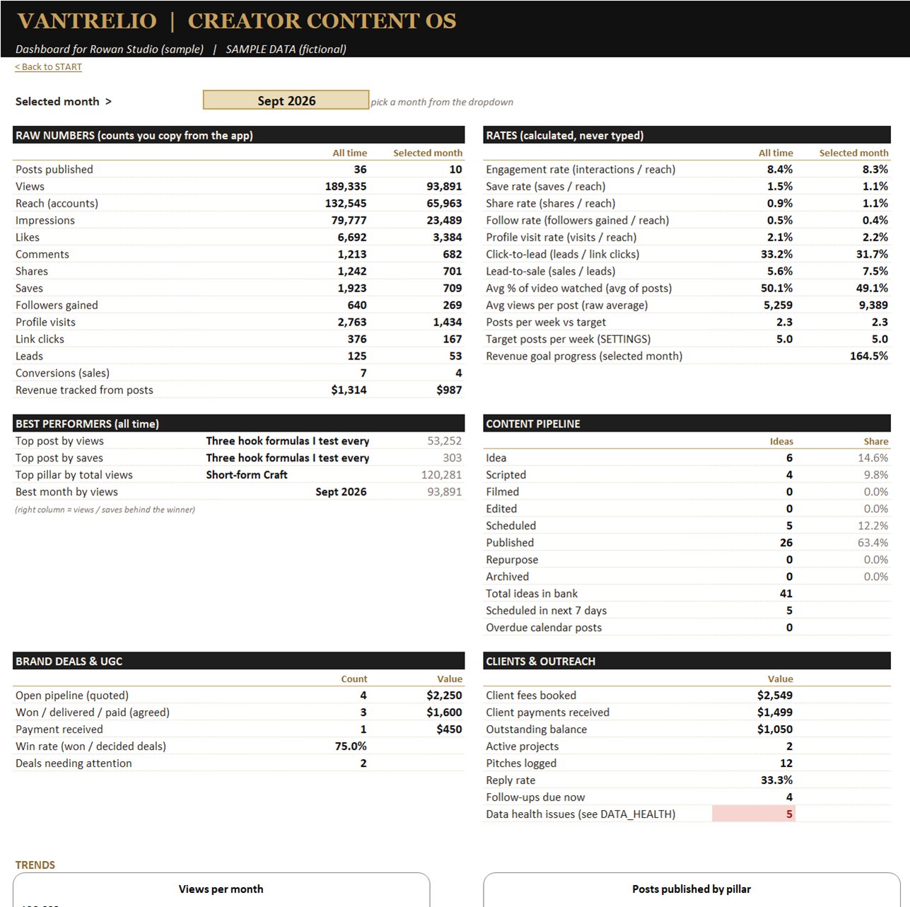 DASHBOARD tab: month selector, raw numbers such as views, reach and saves next to calculated rates, and a views-per-month chart